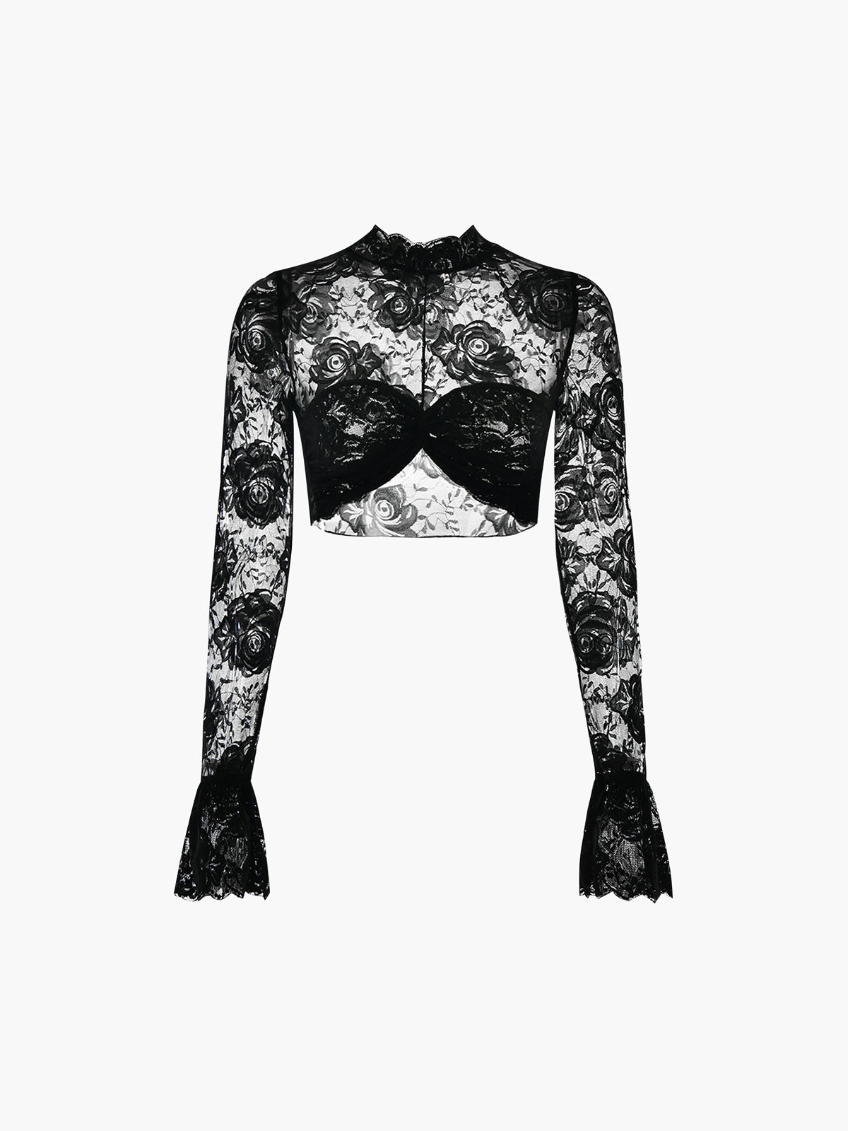 Rose Lace Mesh Trendy Mock Neck Crop Top