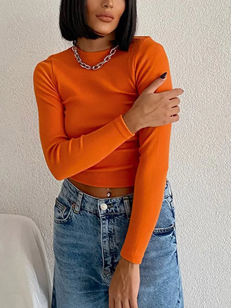 Ribbed Neck Mesh Cropped Long Sleeve Crop Top