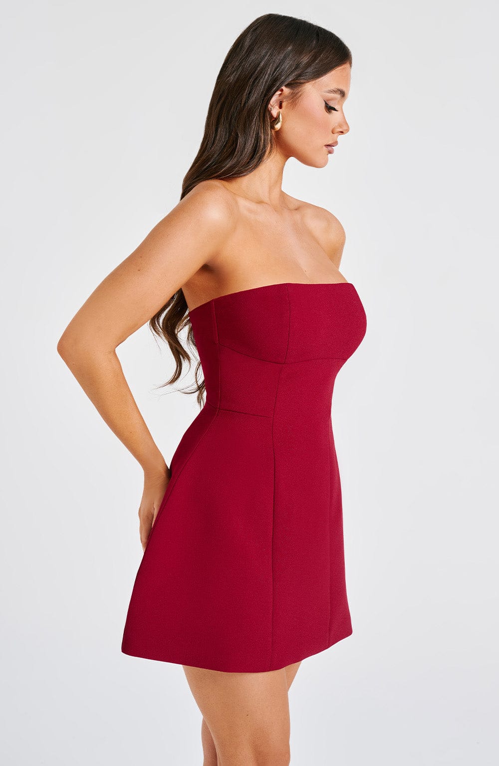 Asha Mini Graceful Dress - Wine